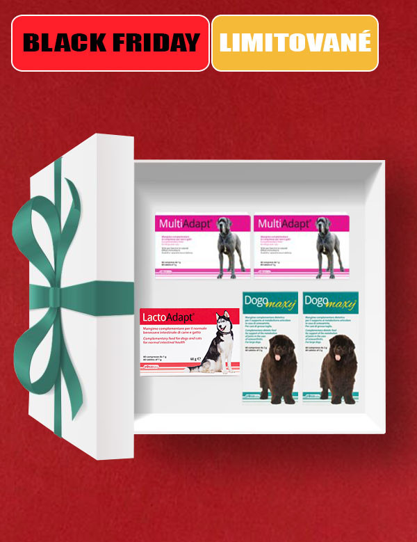 1763567466BF Box maxy+.jpg